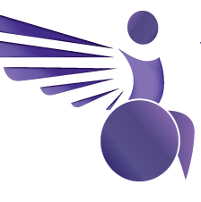 logo validus